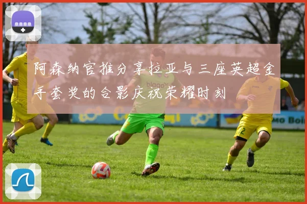 阿森纳官推分享拉亚与三座英超金手套奖的合影庆祝荣耀时刻