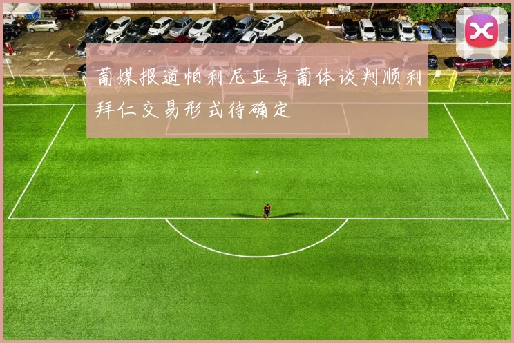 葡媒报道帕利尼亚与葡体谈判顺利拜仁交易形式待确定